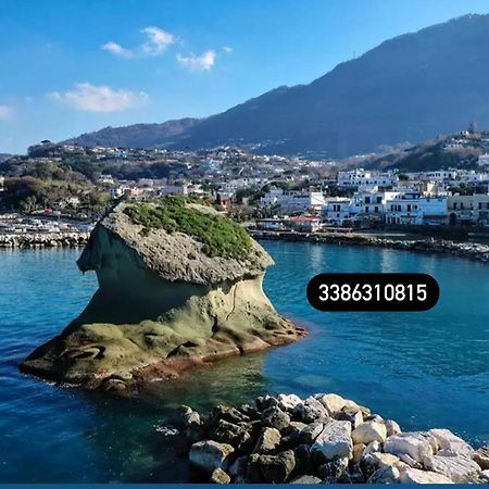 Zaras 11 Apartment Lacco Ameno  Ngoại thất bức ảnh